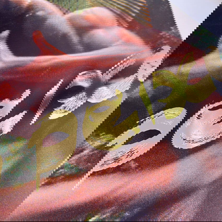 Cartaz para O peixe - Carbono Galeria