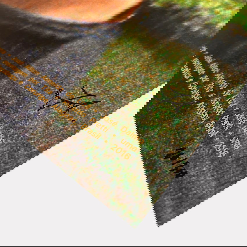 Cartaz para O peixe - Carbono Galeria