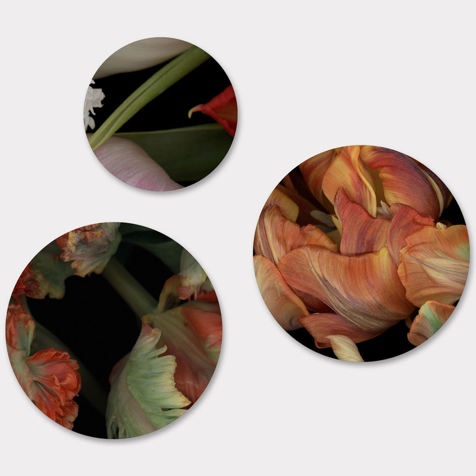 Circles 01 - Carbono Galeria