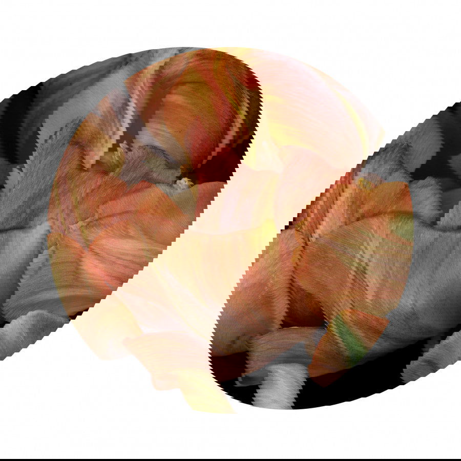 Circles 01 - Carbono Galeria