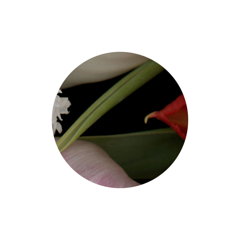 Circles 01 - Carbono Galeria