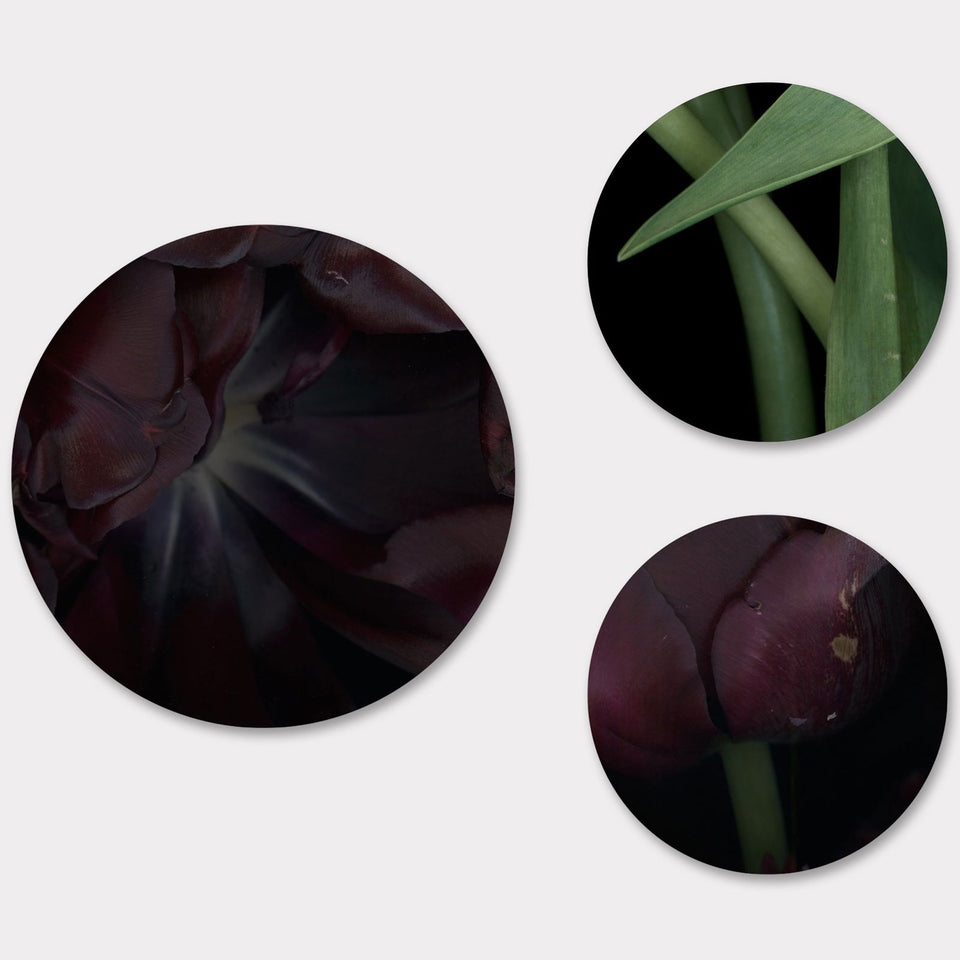 Circles 02 - Carbono Galeria