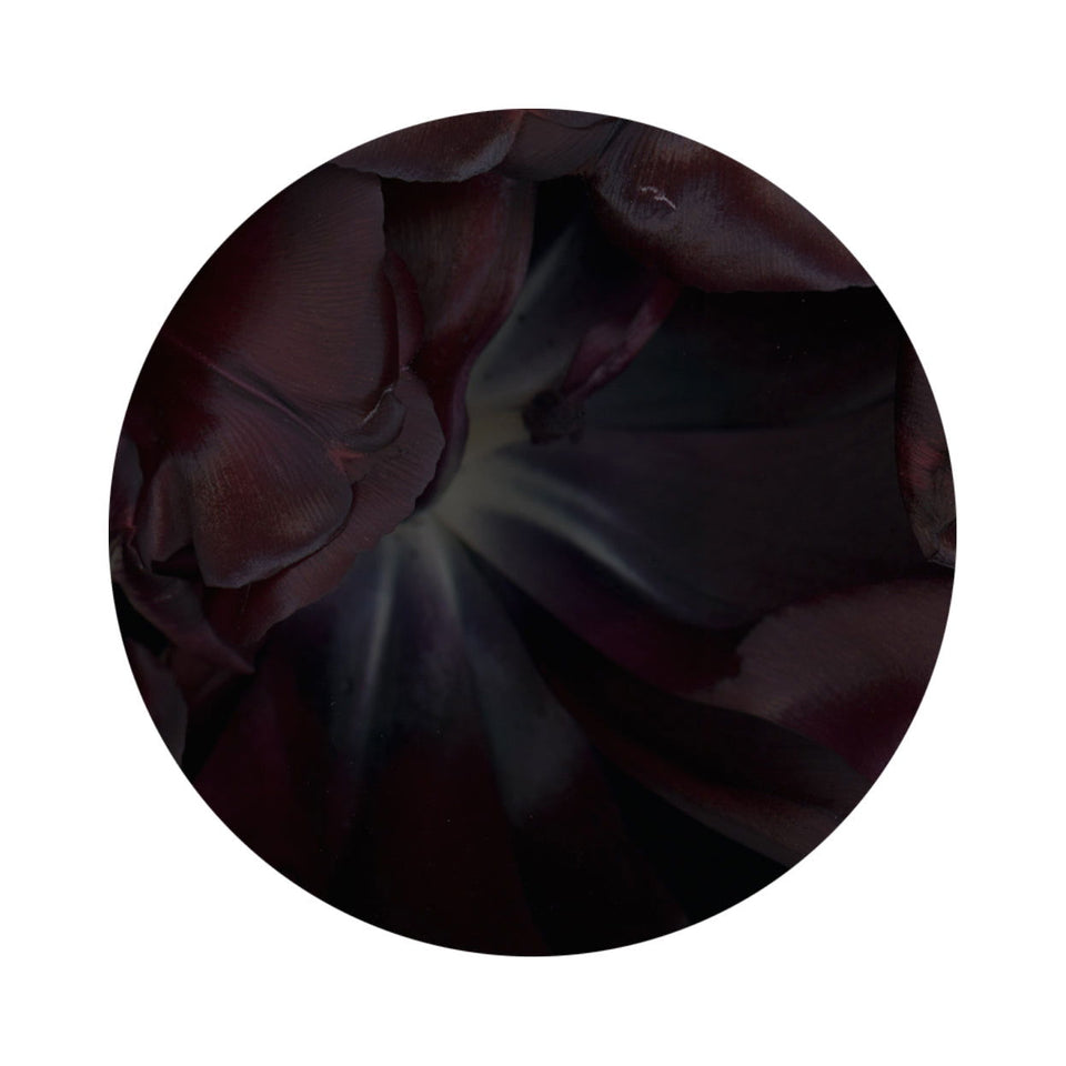 Circles 02 - Carbono Galeria