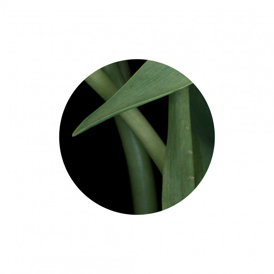 Circles 02 - Carbono Galeria