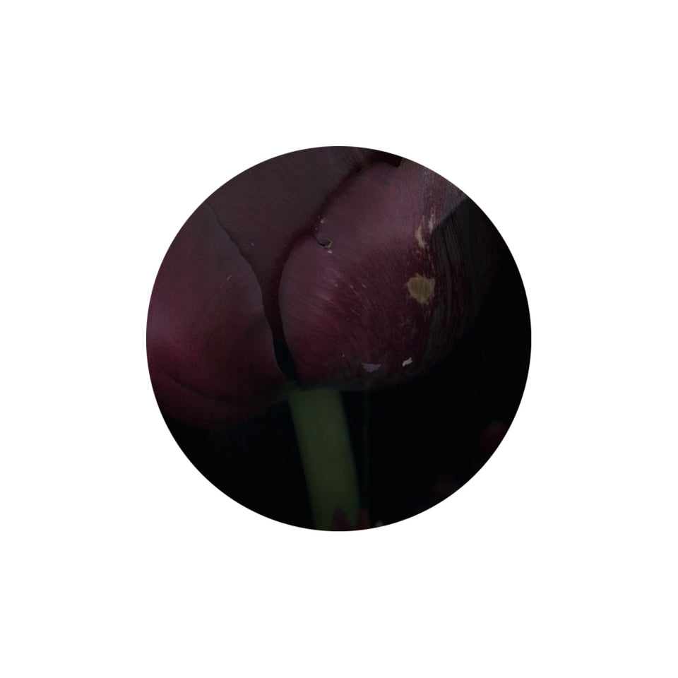 Circles 02 - Carbono Galeria