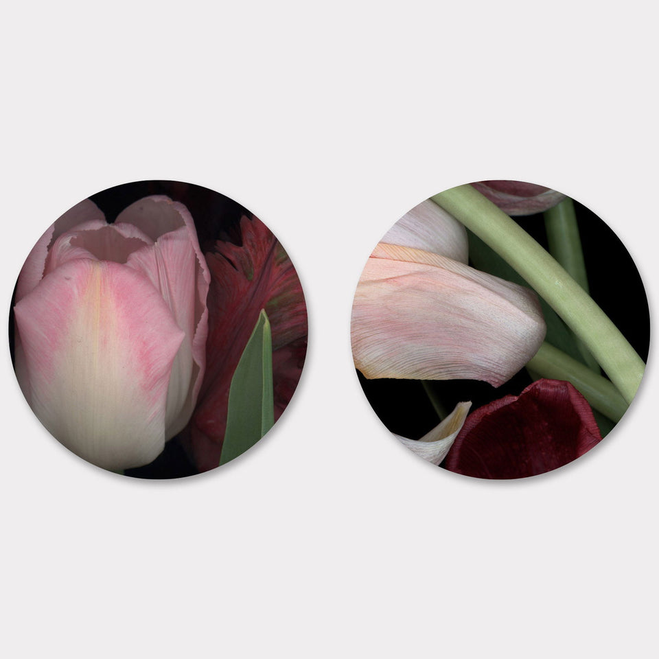 Circles 03 - Carbono Galeria