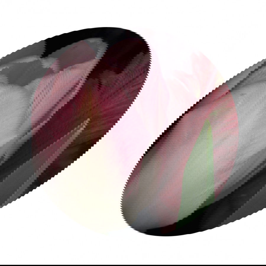 Circles 03 - Carbono Galeria