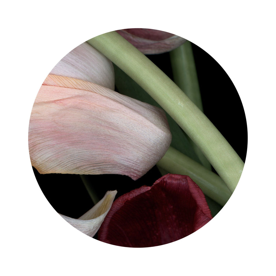 Circles 03 - Carbono Galeria