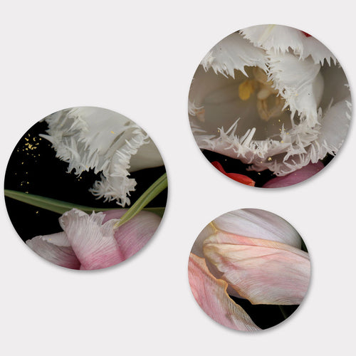 Circles 04 - Carbono Galeria