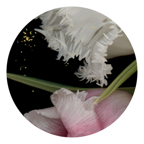 Circles 04 - Carbono Galeria