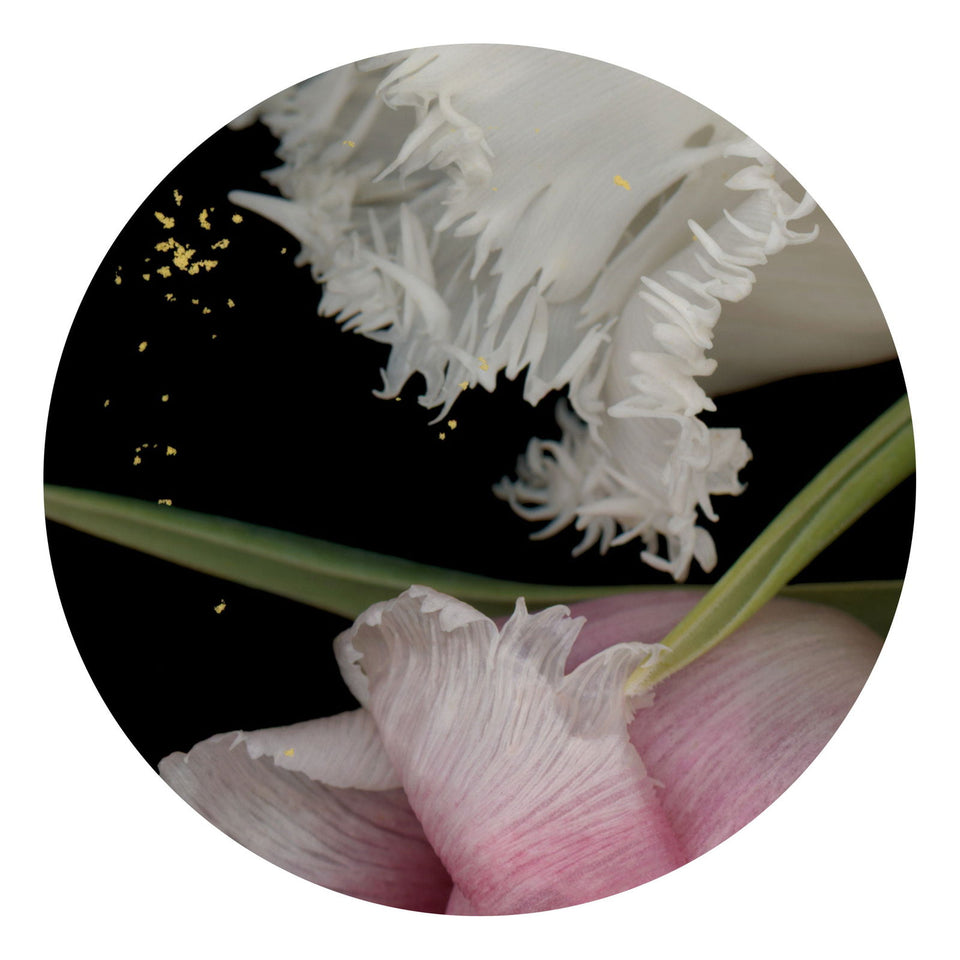 Circles 04 - Carbono Galeria