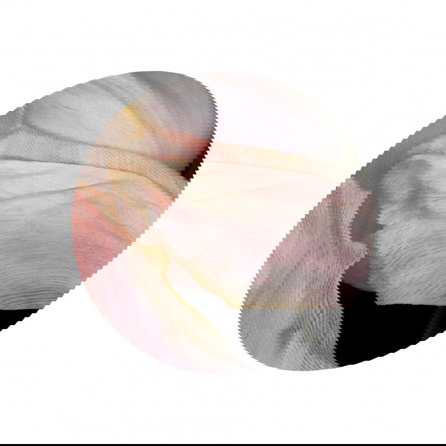 Circles 04 - Carbono Galeria