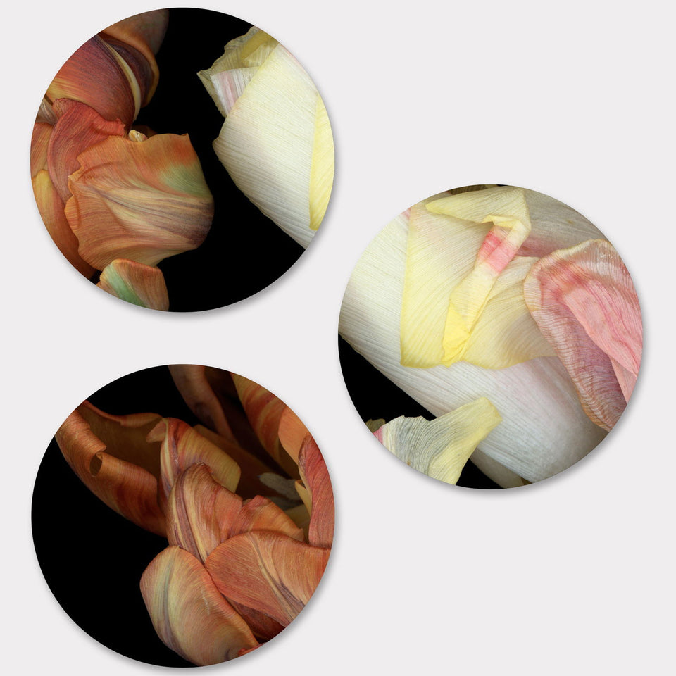 Circles 05 - Carbono Galeria