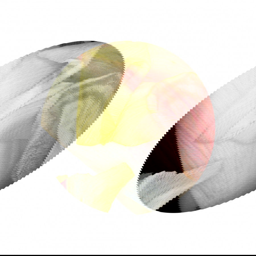 Circles 05 - Carbono Galeria