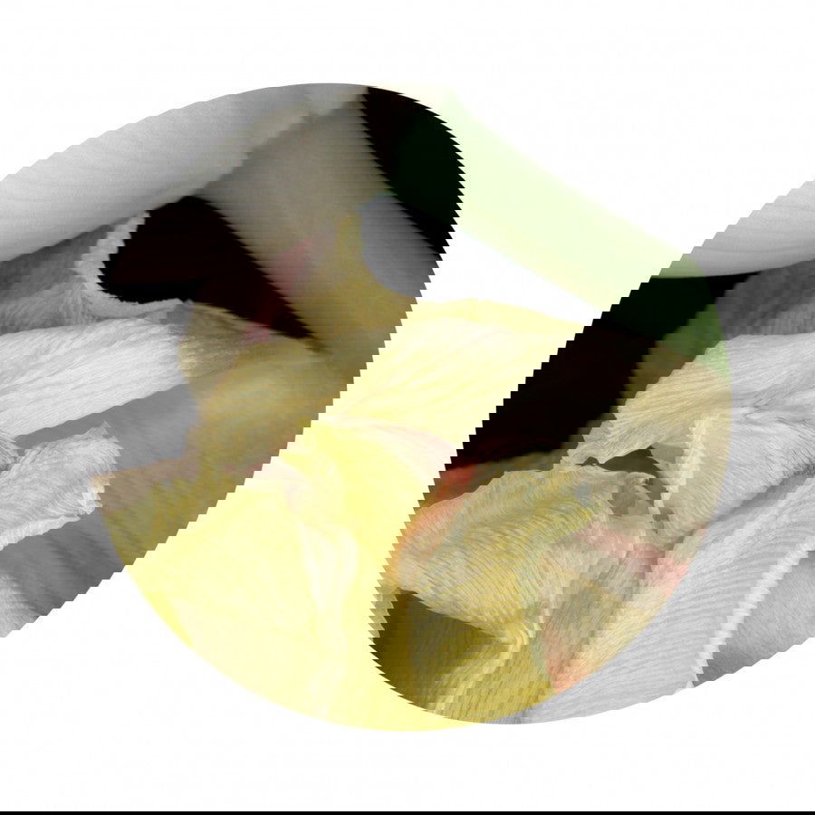 Circles 06 - Carbono Galeria