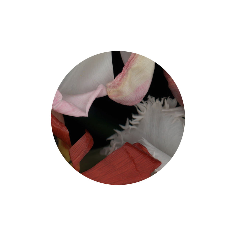 Circles 06 - Carbono Galeria