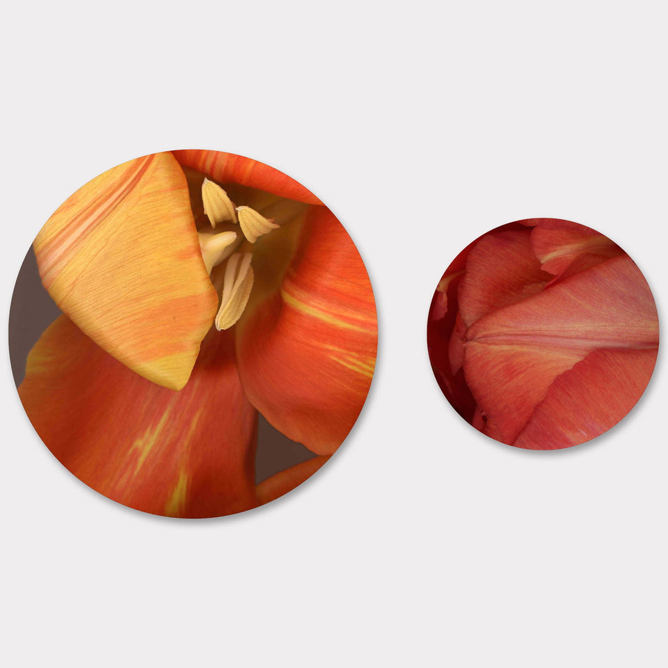 Circles 07 - Carbono Galeria