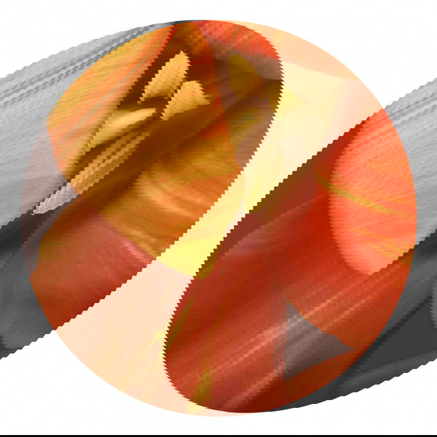 Circles 07 - Carbono Galeria