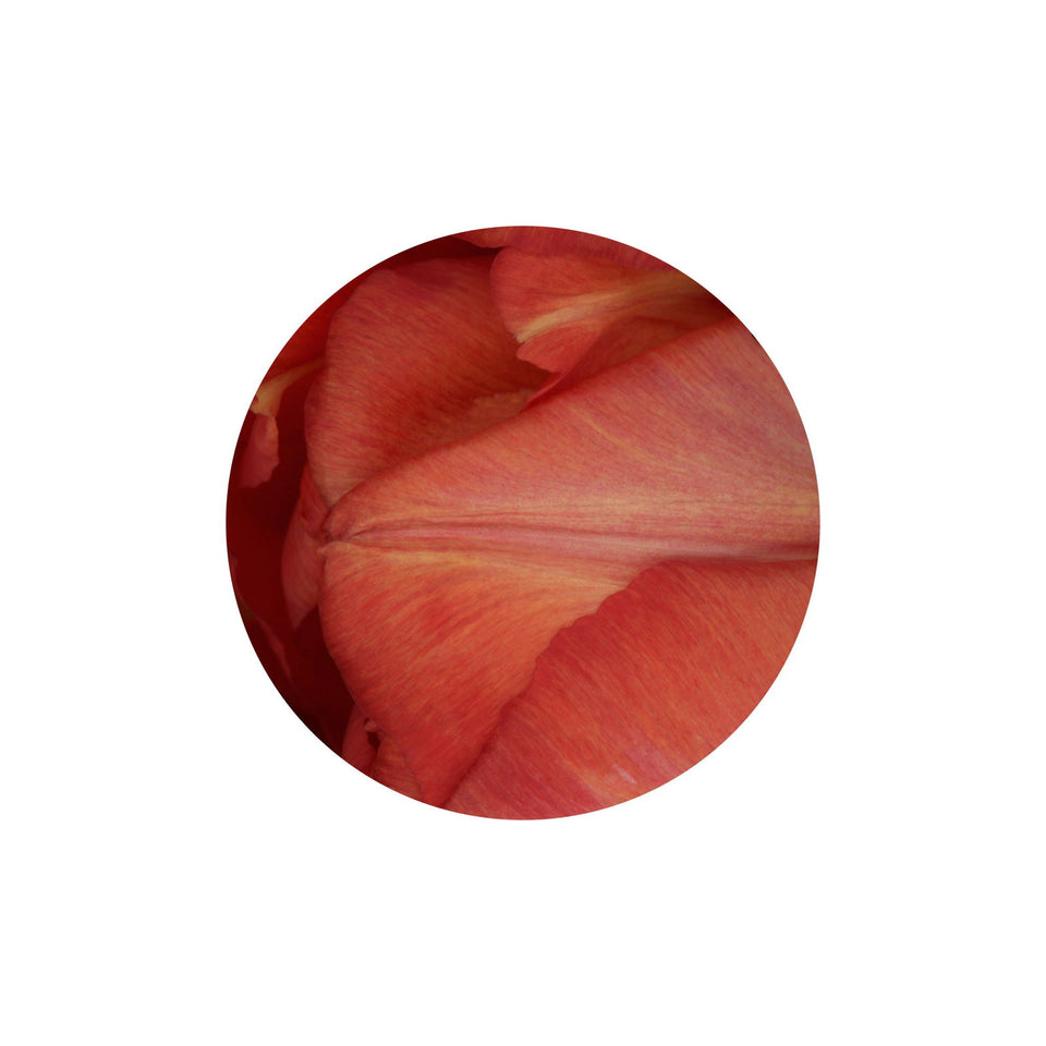 Circles 07 - Carbono Galeria