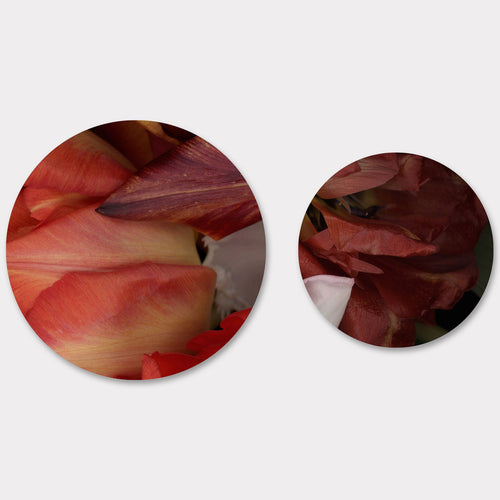 Circles 08 - Carbono Galeria