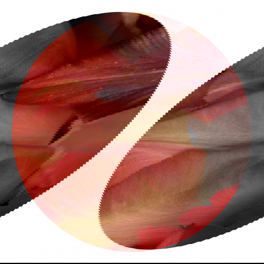 Circles 08 - Carbono Galeria