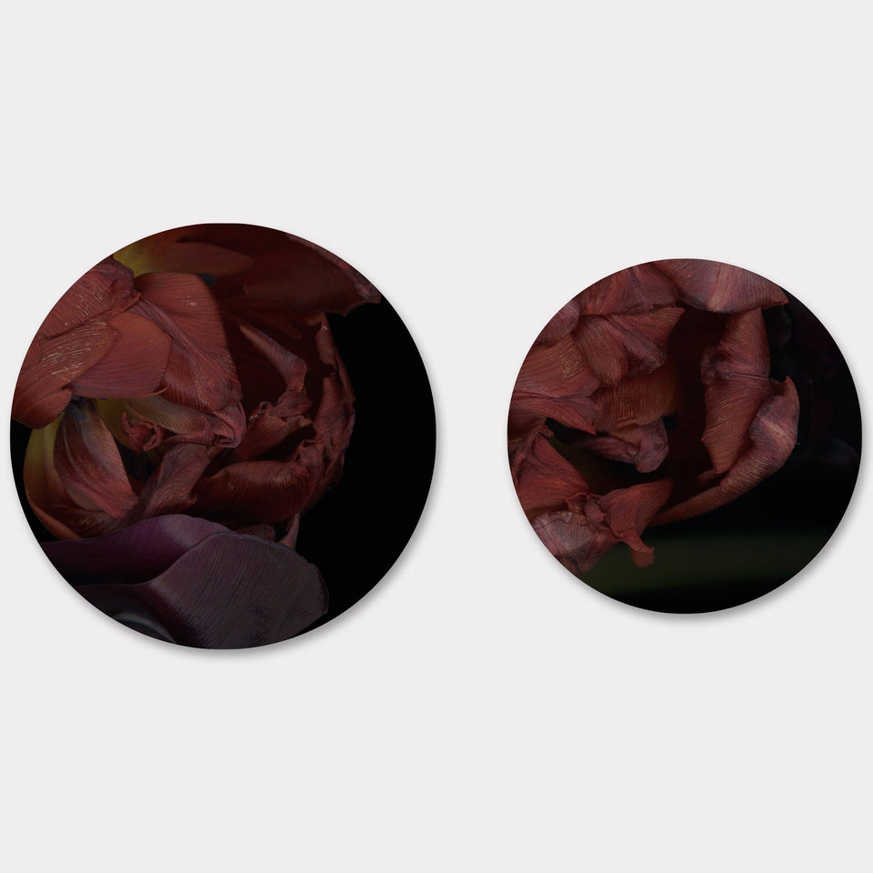 Circles 09 - Carbono Galeria