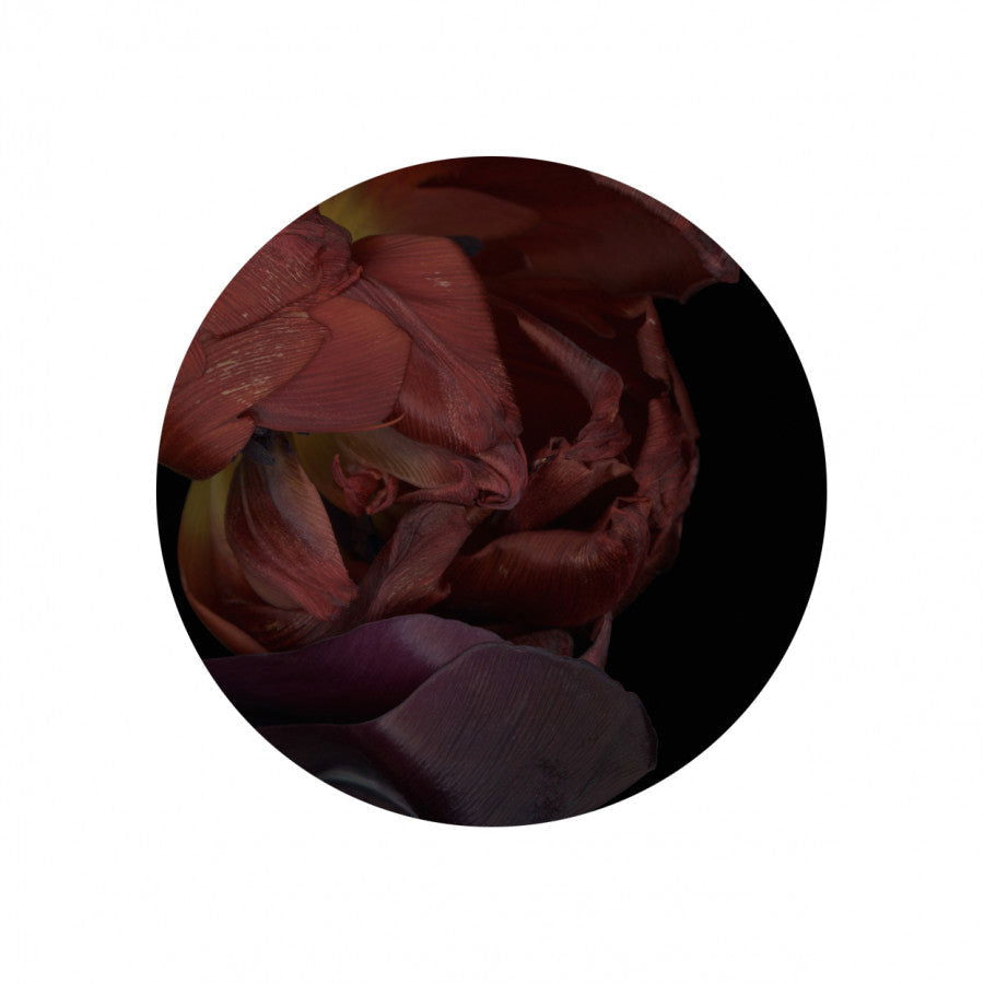 Circles 09 - Carbono Galeria