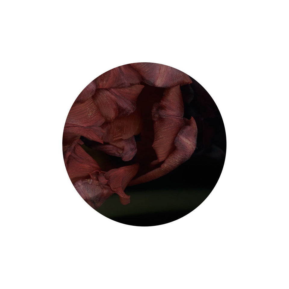 Circles 09 - Carbono Galeria