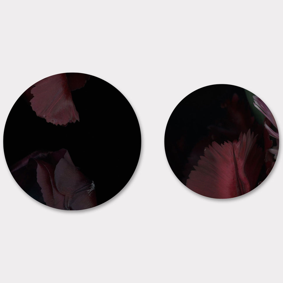 Circles 10 - Carbono Galeria