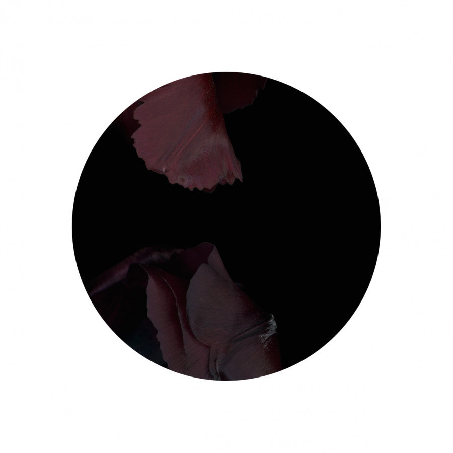 Circles 10 - Carbono Galeria