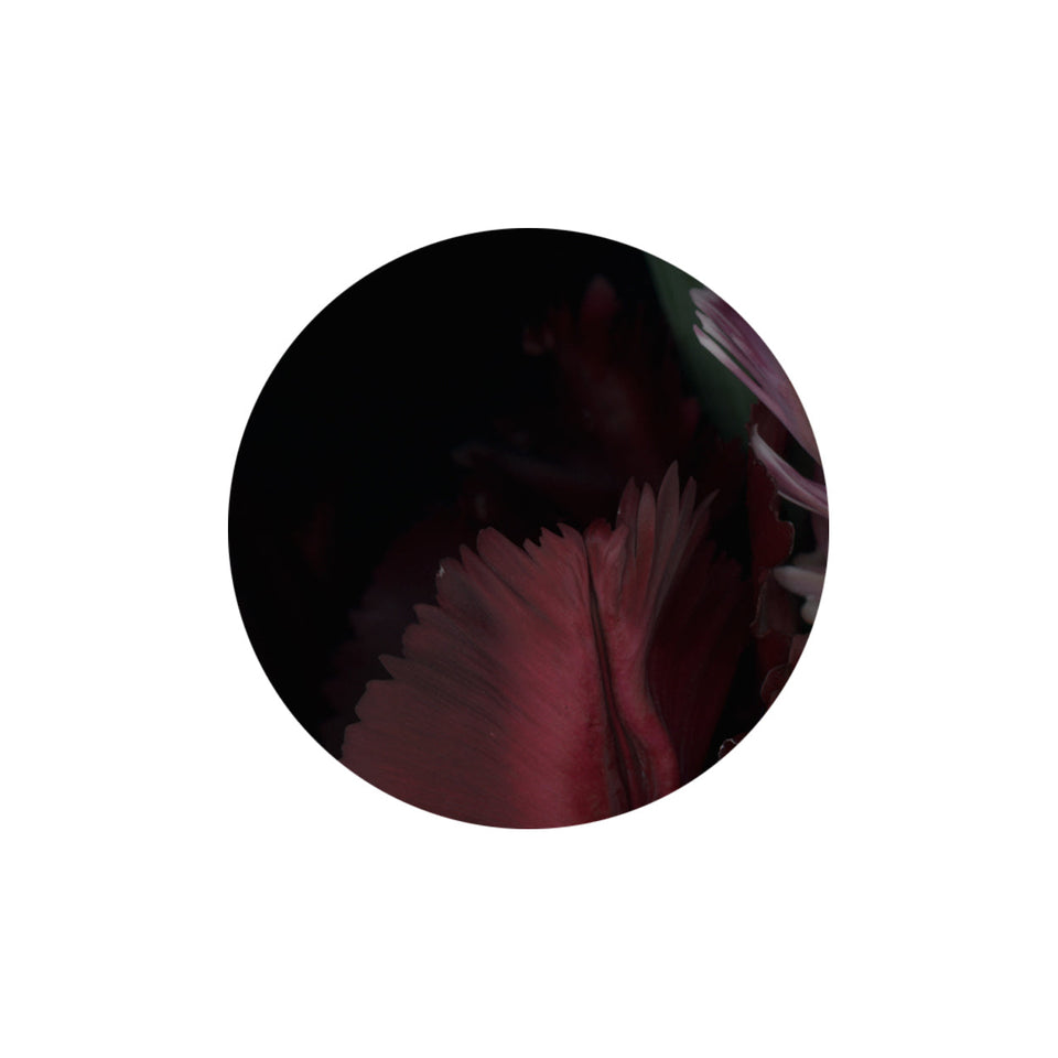 Circles 10 - Carbono Galeria