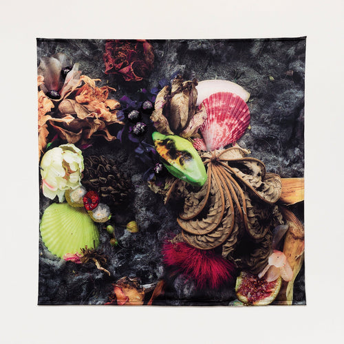 Concha - Carbono Galeria