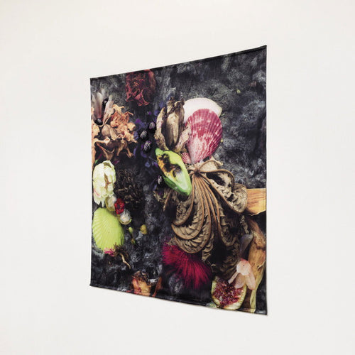 Concha - Carbono Galeria