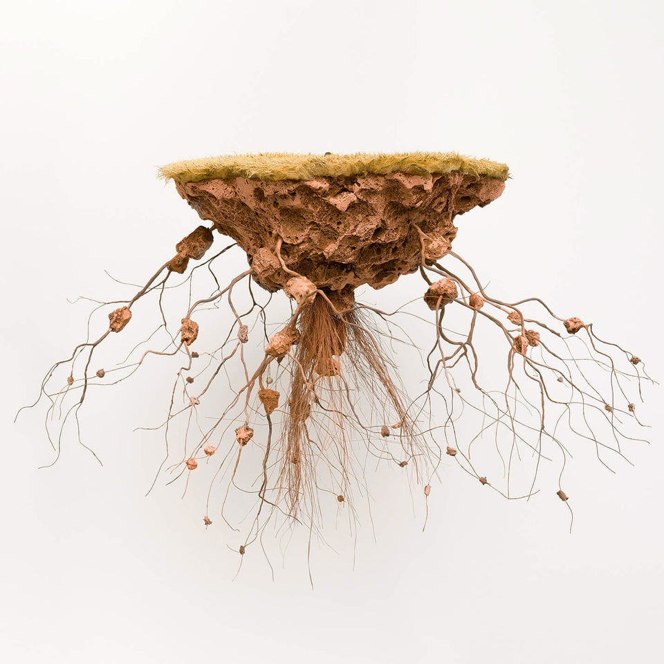 Conectados - Carbono Galeria