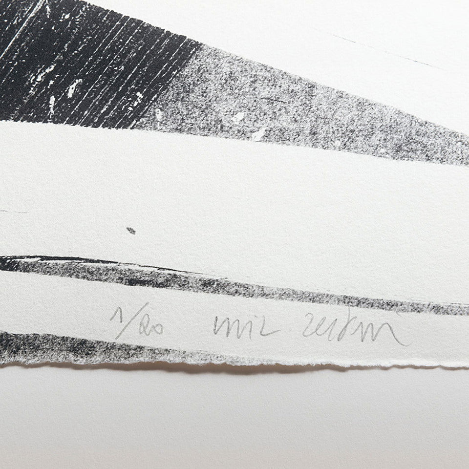 Cor - Carbono Galeria