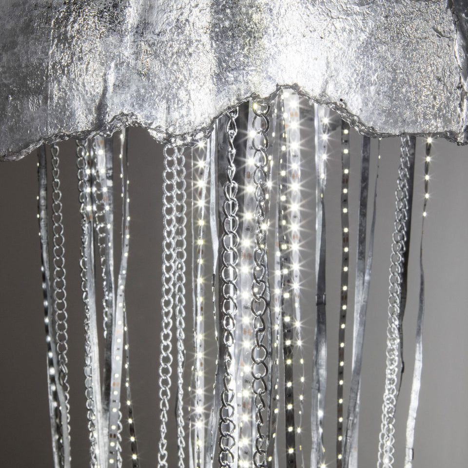 Delito - Carbono Galeria