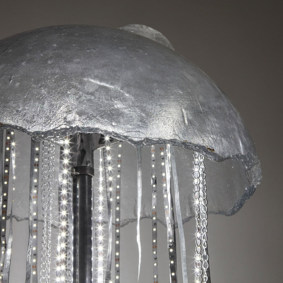 Delito - Carbono Galeria