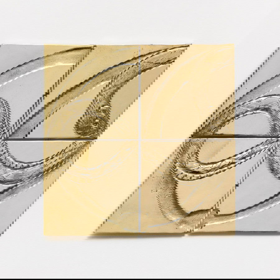 Derivantes - Carbono Galeria