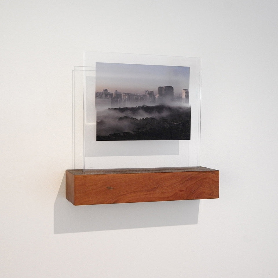 Dicotomia - Carbono Galeria