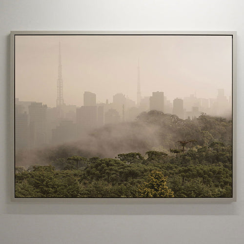 Dilema - Carbono Galeria
