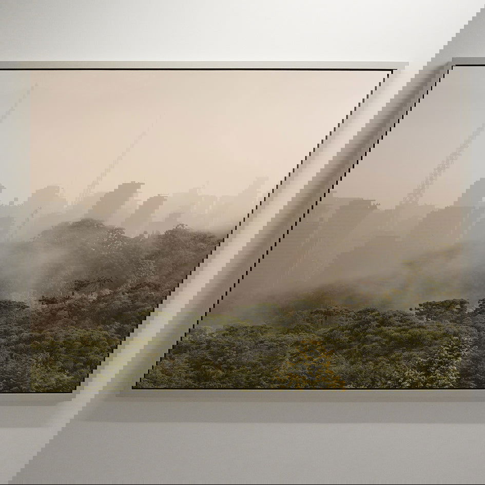 Dilema - Carbono Galeria