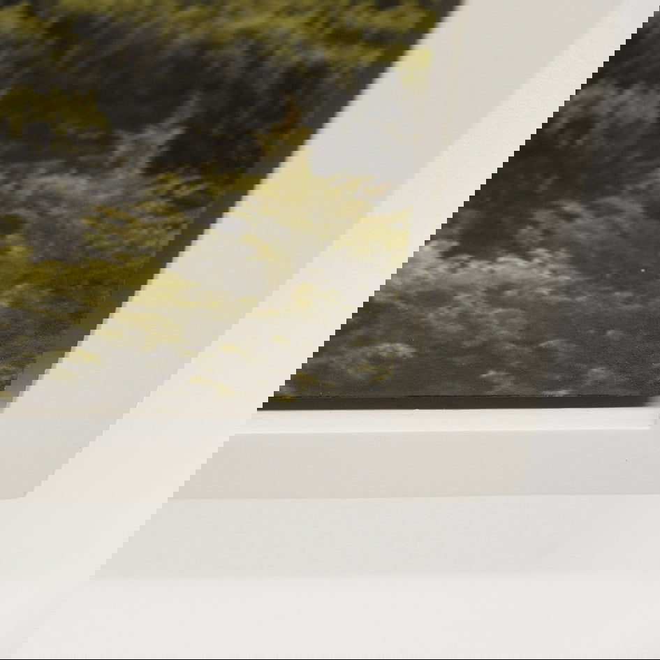 Dilema - Carbono Galeria