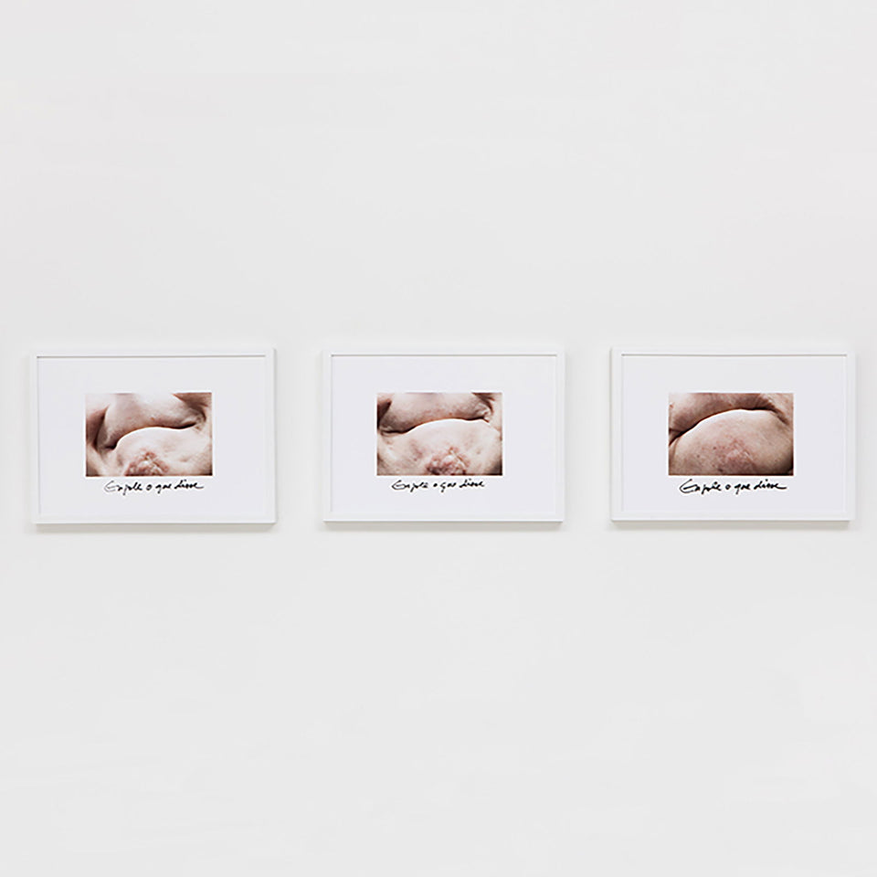 Engole o que disse - Carbono Galeria