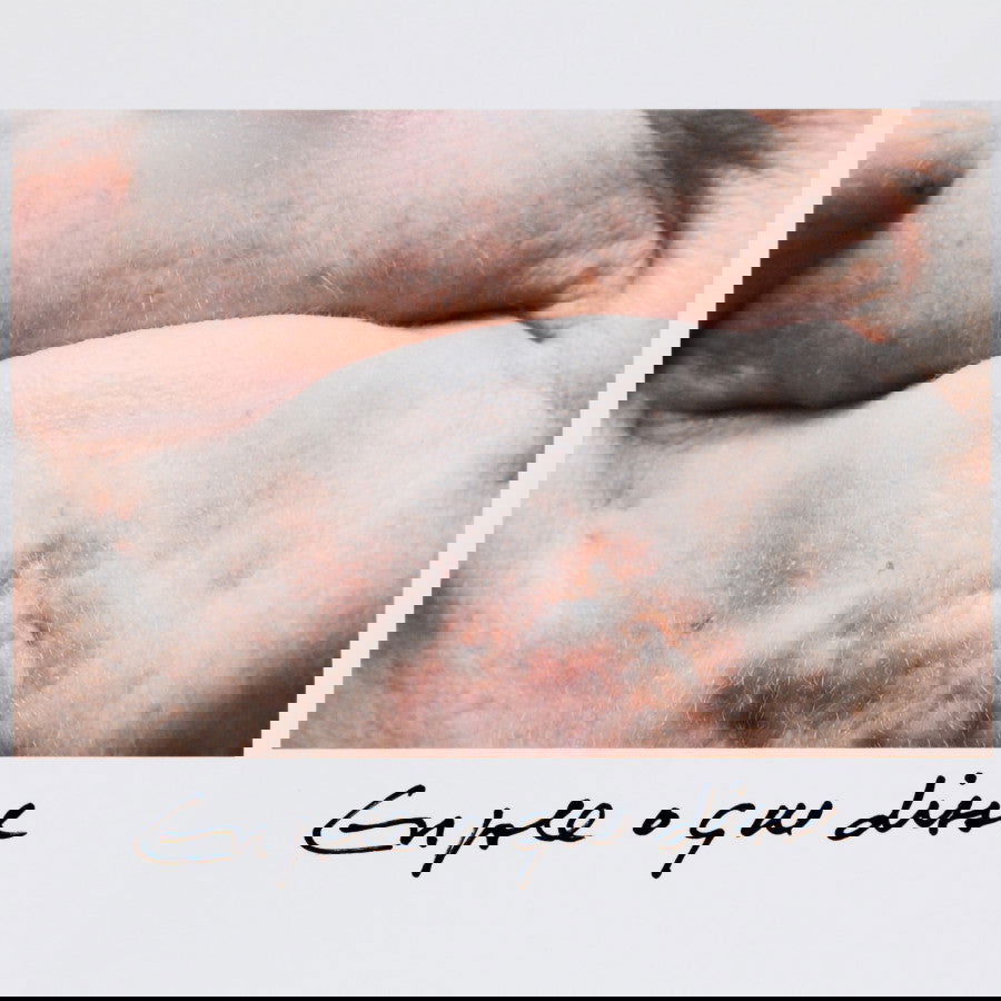 Engole o que disse - Carbono Galeria