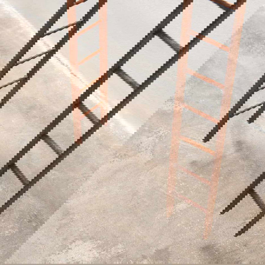 Fieri additio - Carbono Galeria