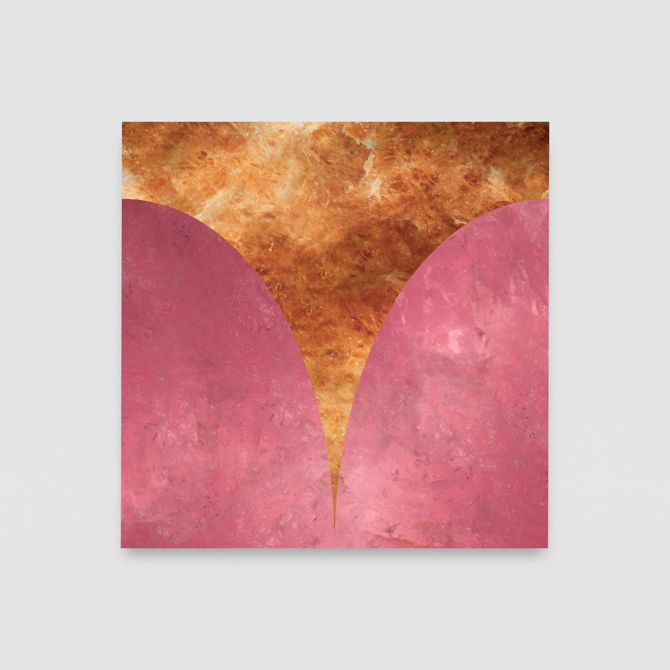 Flor Rosa - Carbono Galeria