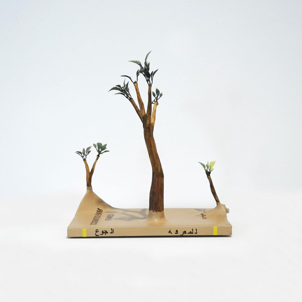 Fome de Conhecimento - Carbono Galeria