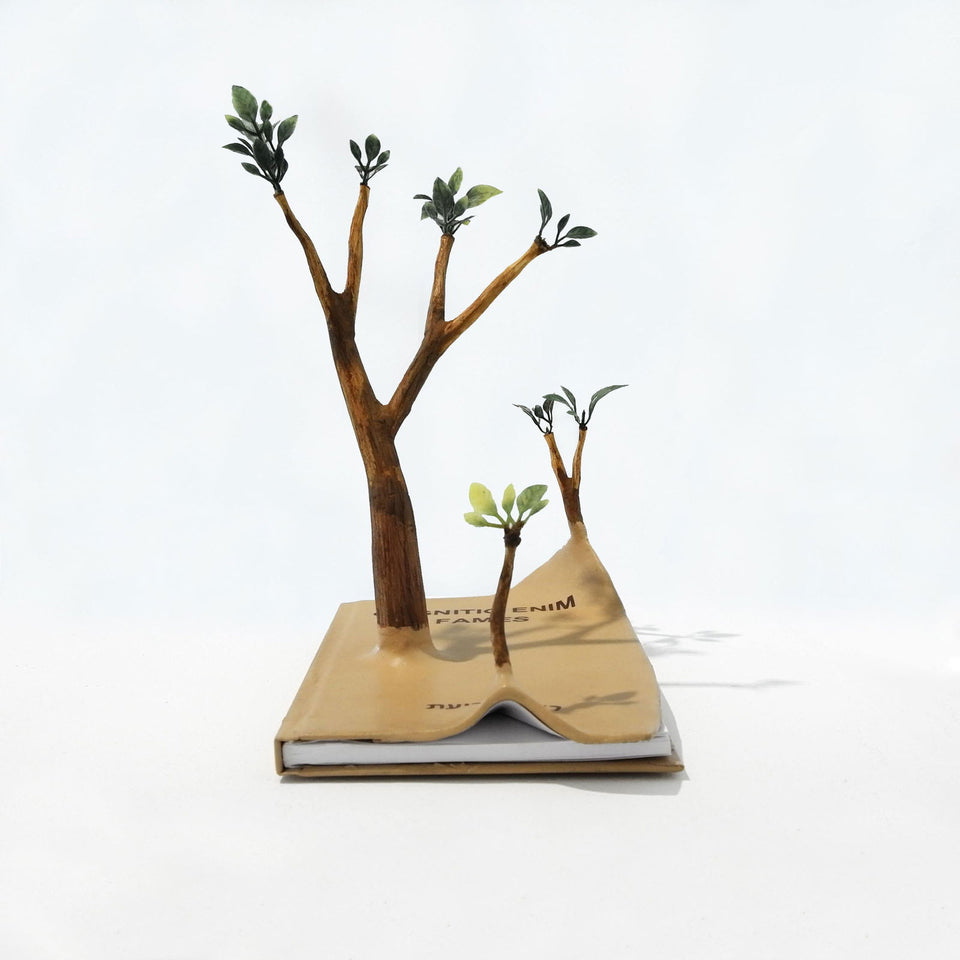 Fome de Conhecimento - Carbono Galeria