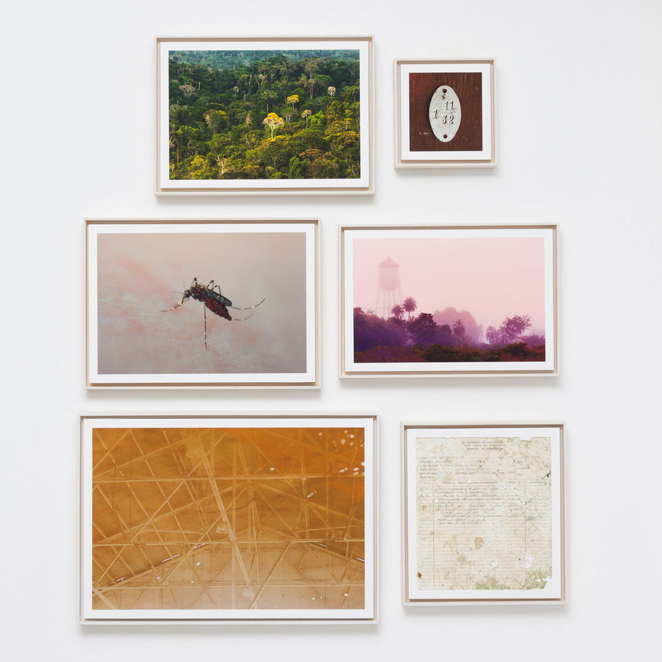 Fordlandia 1 - Carbono Galeria