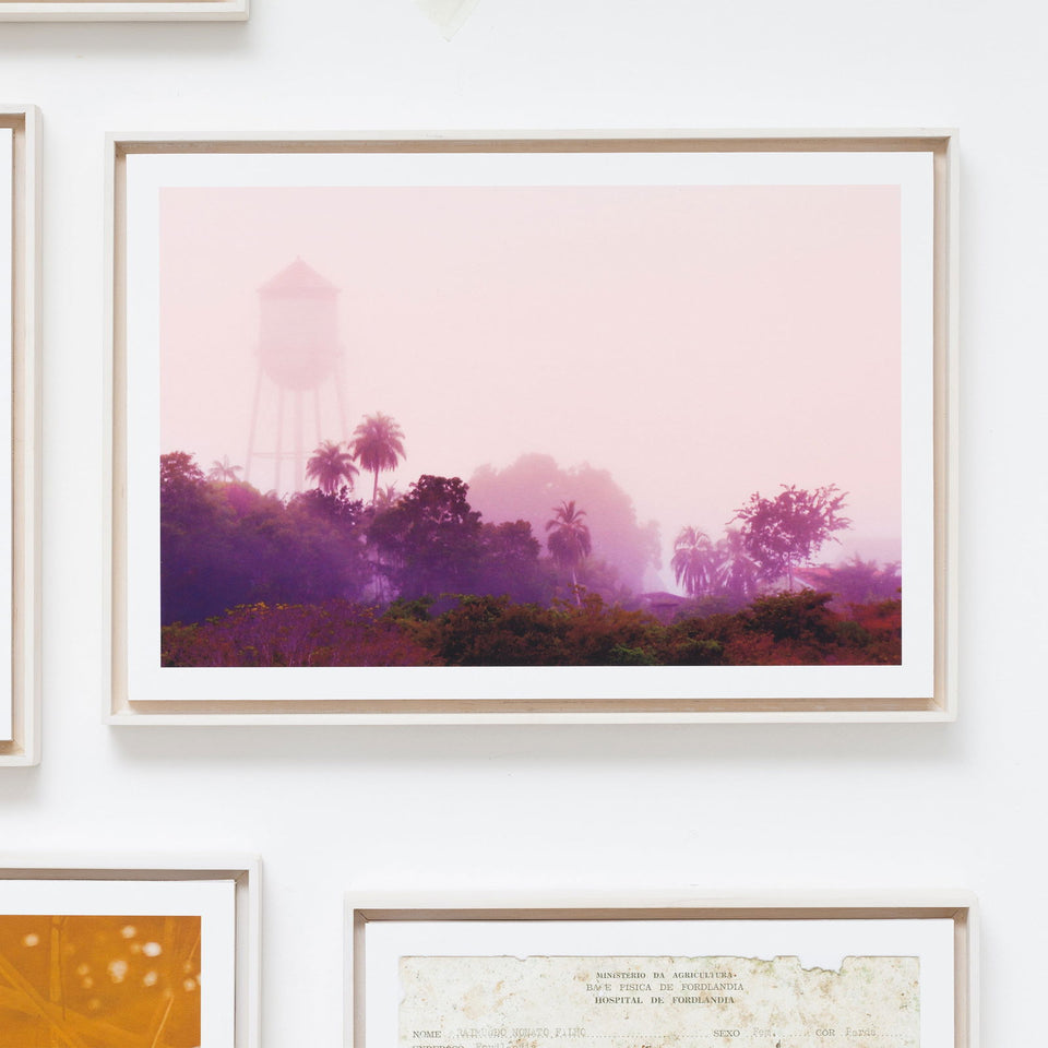 Fordlandia 1 - Carbono Galeria